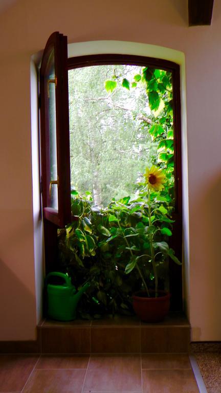 Apartmán Blumenhaus Velten Exteriér fotografie